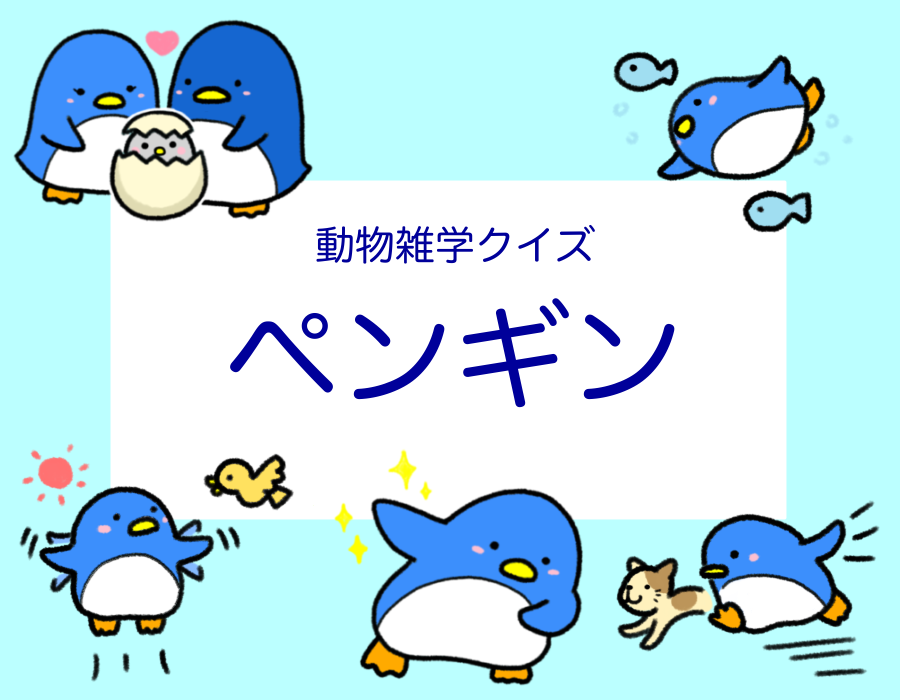 動物の雑学クイズ ペンギン 動物生き物サイト