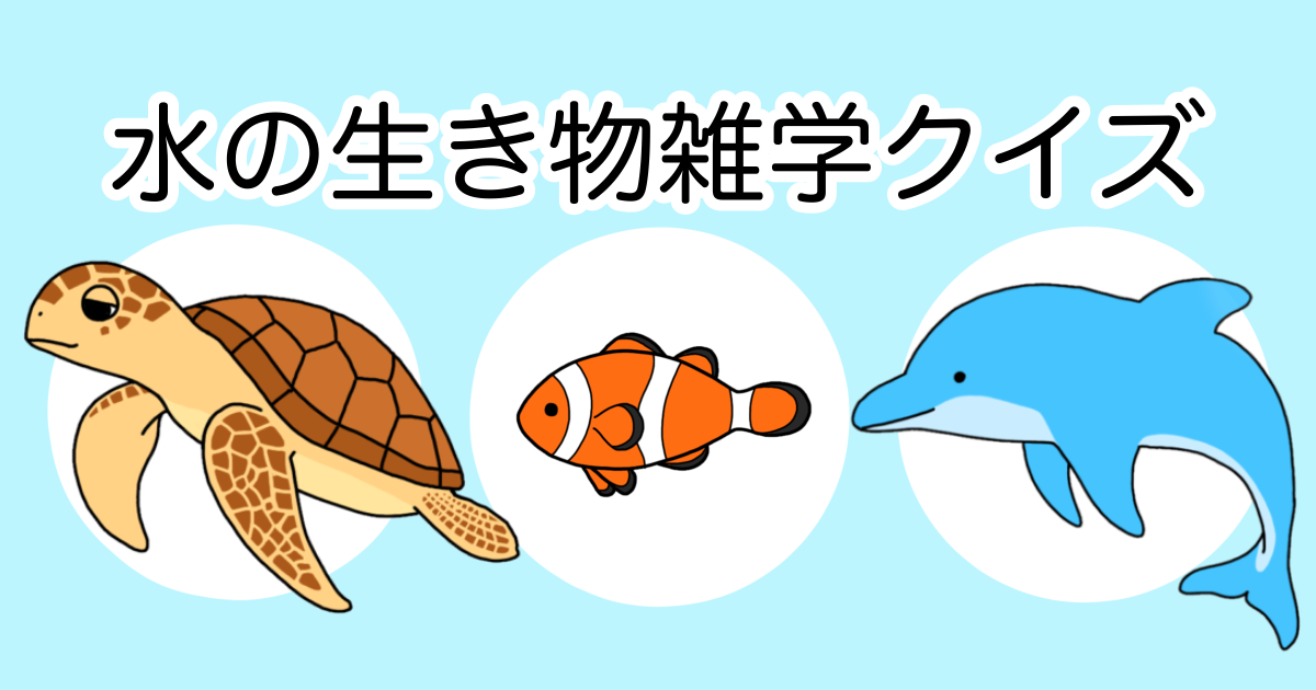 海 の 生き物 クイズ 難しい